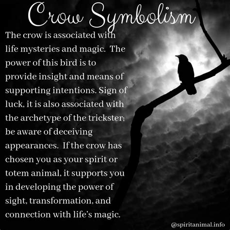 The Crow Spirit Animal A Beacon Of Clarity And Insight Message