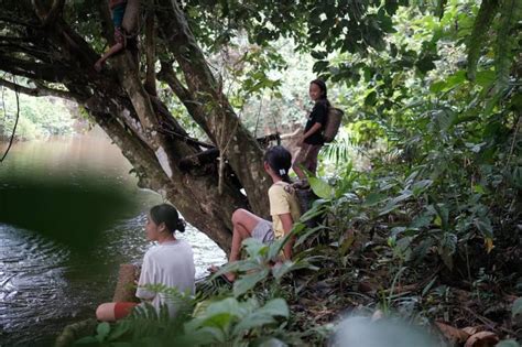 • the wind does not blow to shake the trees, but it tests the strength of its roots. Negara Akhirnya Akui Hutan Adat Masyarakat Dayak Iban | Republika Online