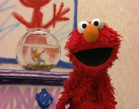 Elmos World Exercise Elmos World Fanon Wiki Fandom Powered By Wikia