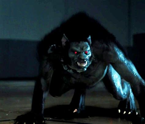 Alpha Werewolves In Mtvs Teen Wolf Leader Of Its Pack And Ability