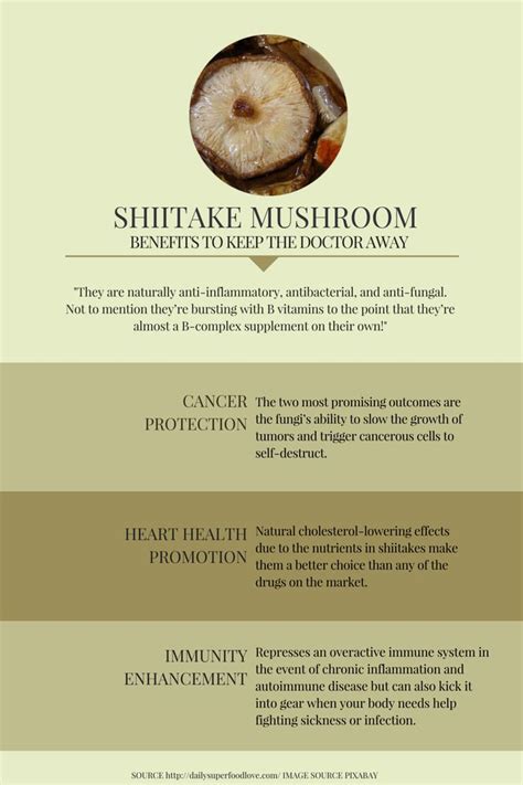 Nutritional Content And Health Benefits Of Shiitake Mushrooms