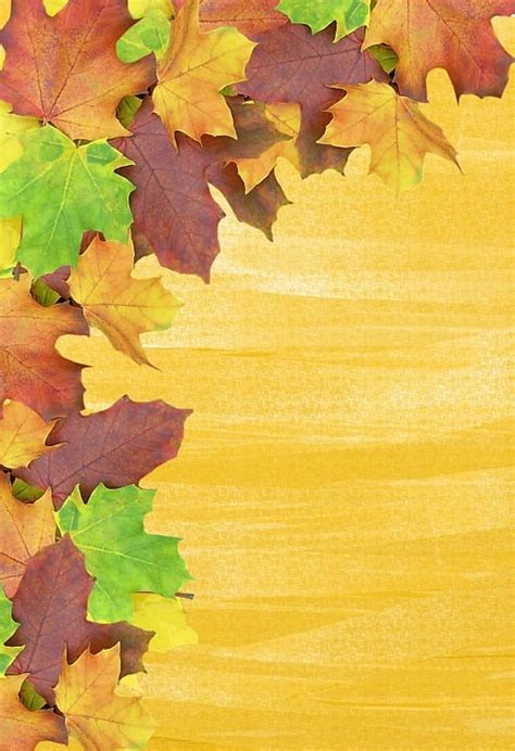 Autumn Background Leaves · Free Image On Pixabay