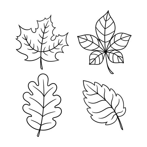 5 Best Images Of Fall Leaves Printables Free Printable Fall Leaves To