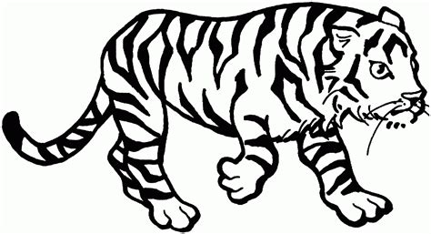 Dibujo De Un Tigre De Bengala Para Colorear Dibujos N Vrogue Co