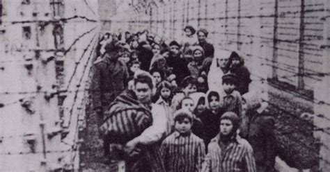 Holocaust Deaths 15000 Murdered Per Day In Aug Oct 1942