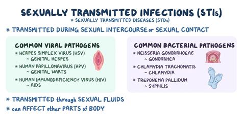 Female And Male Reproductive Systems Sexually Transmitted Infections