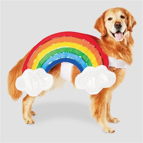 Rainbow With Clouds Halloween Dog Costume Best Dog Costumes For Large