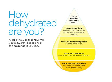 Are You Dehydrated Lawrence Park Health And Wellness