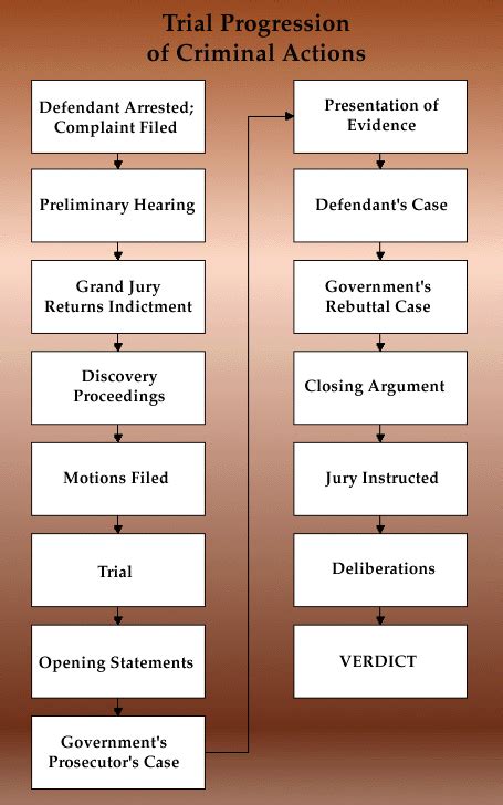 Criminal Trial Flow Chart