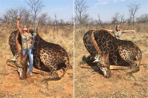 Trophy Hunter Who Drew Outrage Says Giraffe Was Delicious