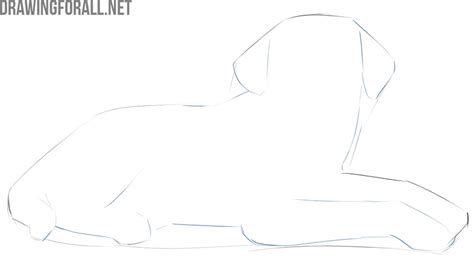 How To Draw A Lying Dog
