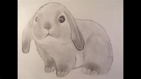 ☆ dessin pour enfants est un canal youtube pour apprendre la peinture pour les enfants et les. Dessin/ Dessiner une petit lapin bélier ! - YouTube