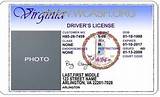 Photos of Fake Business License Template