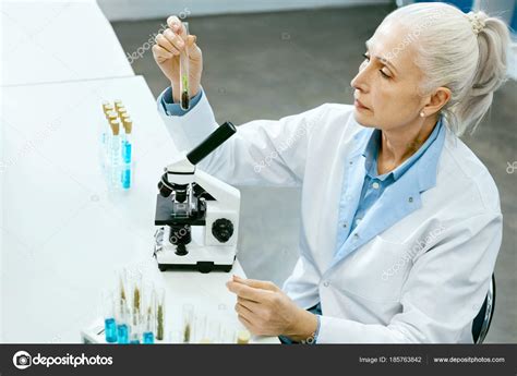 Scientist With Plant In Agriculture Laboratory — Stock Photo © Puhhha