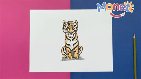 Como Dibujar Un Tigre F Cil Paso A Paso Youtube