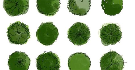 See more ideas about photoshop, tree, landscape design. Hand drawn trees download | Tree plan photoshop, How to ...