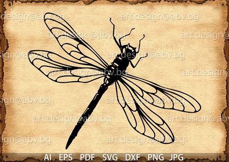 Dragonfly Svg Free Download Svg Layered