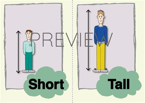 Short And Tall Flashcard Gru Languages
