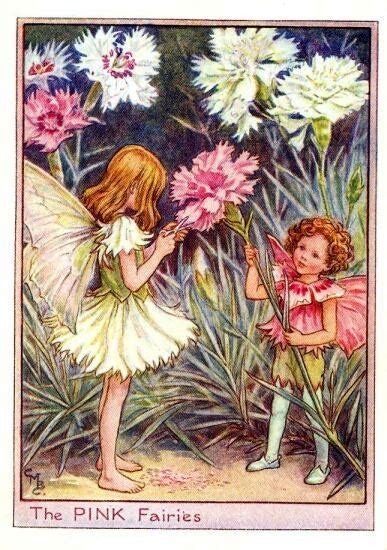 The Pink Flower Fairy Vintage Print Cicely Mary Barker The Flower