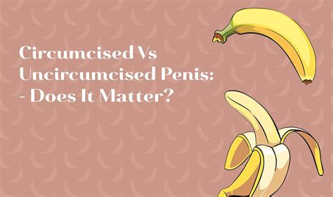 Circumcised Vs Uncircumcised Penis Does It Matter Hisblue