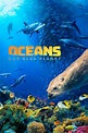 Oceans: Our Blue Planet (2018) - FilmFlow.tv