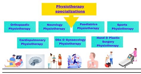 Basics Of Physiotherapy An Introduction