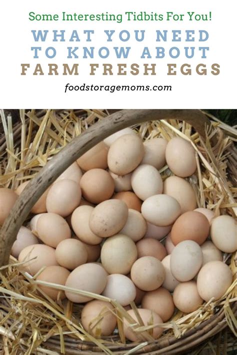 What You Need To Know About Farm Fresh Eggs In 2021 Farm Fresh Eggs