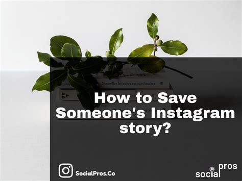 How To Save Someones Instagram Story Safest Tool Social Pros