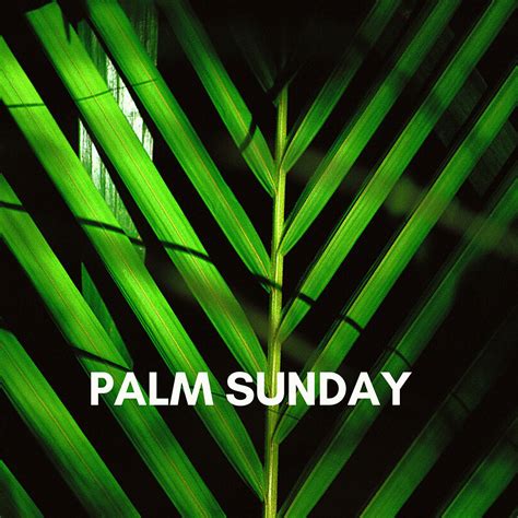 Palm sunday images, pictures, hd wallpapers 2020. Palm Sunday "With Passion" | First Christian Church