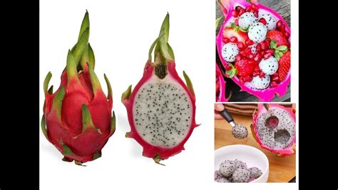 How to stick to healthy eating resolutions for the new year. 6 Ways To Eat Dragon Fruit - YouTube