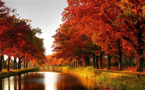 Autumn Colors Wallpaper 1920x1200 28993