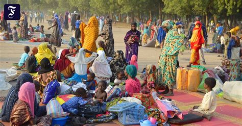 Violence In Northern Cameroon 30000 People Flee To Chad Teller Report