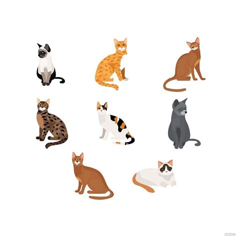 Cat Sitting Vector In Illustrator Svg  Eps Png Download