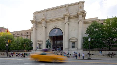American Museum Of Natural History Tours Book Now Expedia
