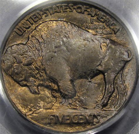 Grade This 1913 Buffalo Nickel — Collectors Universe