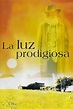 La luz prodigiosa (2003) Película - PLAY Cine