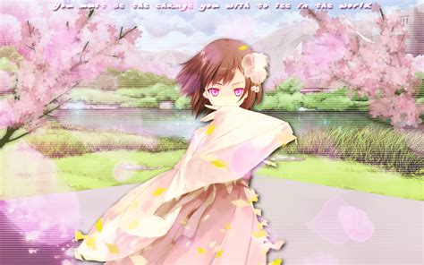 Cherry Blossom Anime Wallpaper By Theoriginalfullmetal On