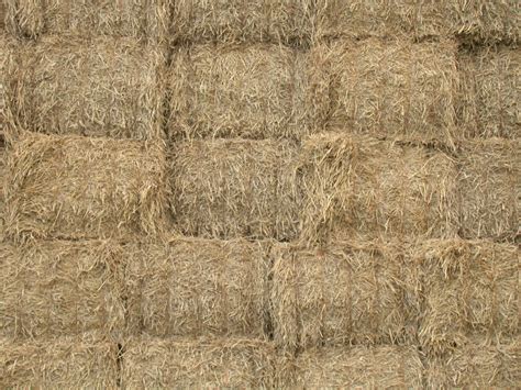 Imageafter Photos Straw Straws Bale Of Hay Bail Rough Brown Stack