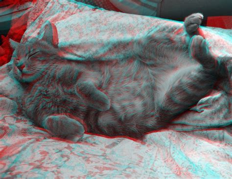 Svitolino The Cat Anaglyph 3d This Is One Of My Sweet Ca Flickr