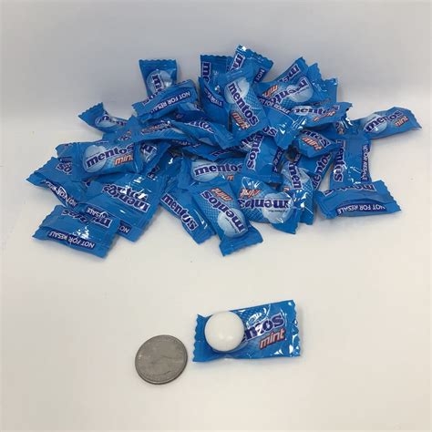 Mentos Mint Candy 1 Pound Bulk Individually Wrapped Candy Mints