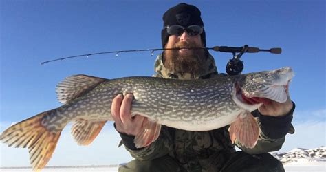 Called more than 5 times directly to central region 2 office(chan sow lin skynet). Central to Eastern Montana Fishing Report 2.6.19 | Montana ...