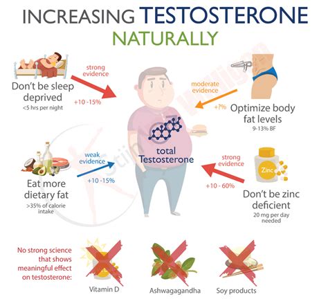 10 Characteristics Of Testosterone What Is Testosterone