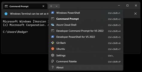 Windows Terminal Preview 116