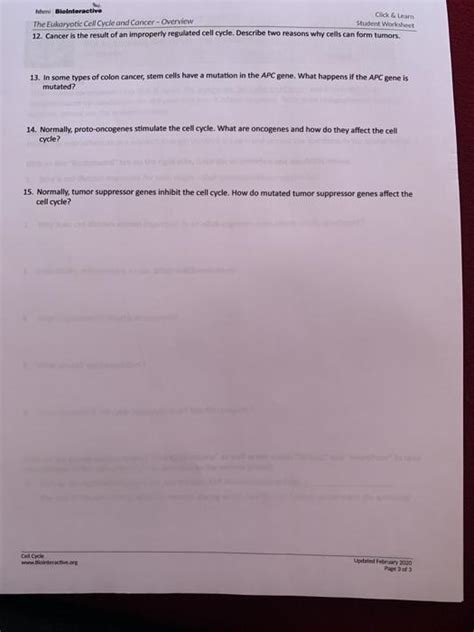 Diploid cell (2n) prophase i. Cell Cycle Student Worksheet Answer Key : Bioc102 Jpg 913 ...