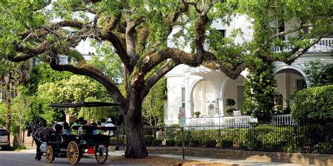 10 Classic Charleston Restaurants - Best Places to Eat in Charleston