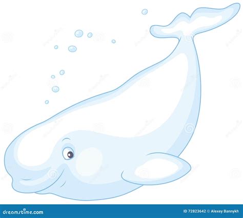 Swimming Beluga Whale Cartoon Vector 276020839