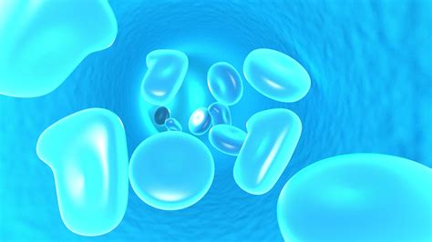 Blue Blood Cells Biology Liquid Free Image Download