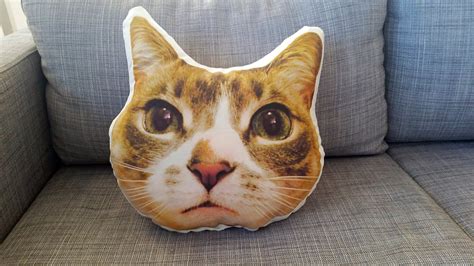 Medium Custom Cat Pet Pillow Pet Loss In Memory Memorial