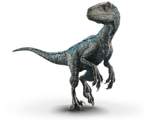 Velociraptor Blue Blue Jurassic World Jurassic Park Jurassic World