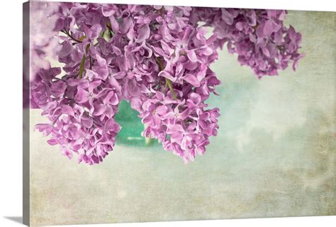 Dark Lilacs Wall Art Canvas Prints Framed Prints Wall Peels Great